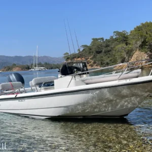 Boston Whaler 18