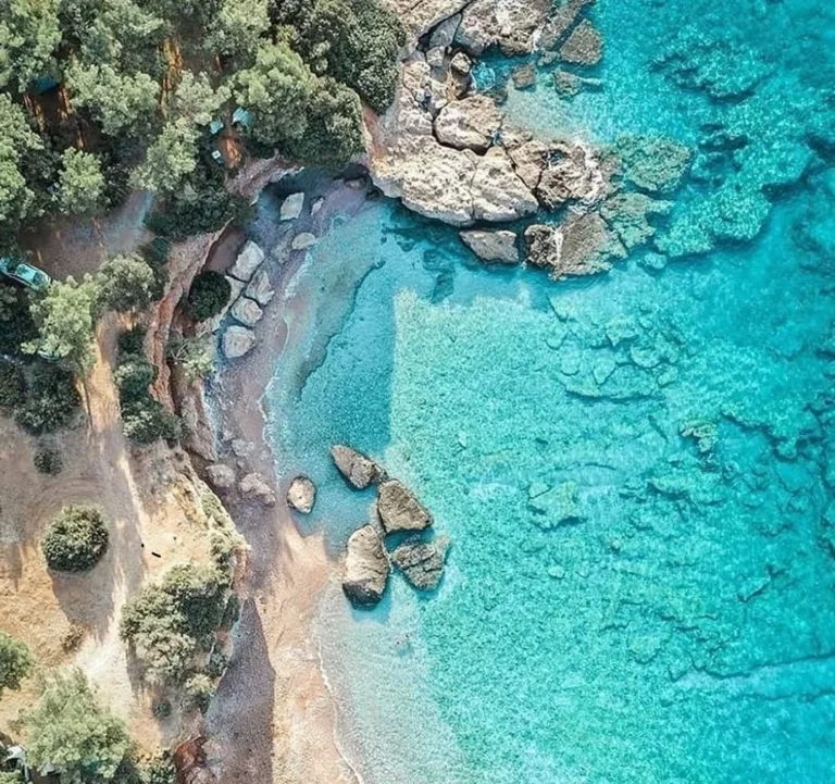 akvaryum koyu 768x721